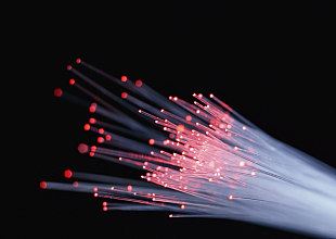 fiber type fiber type