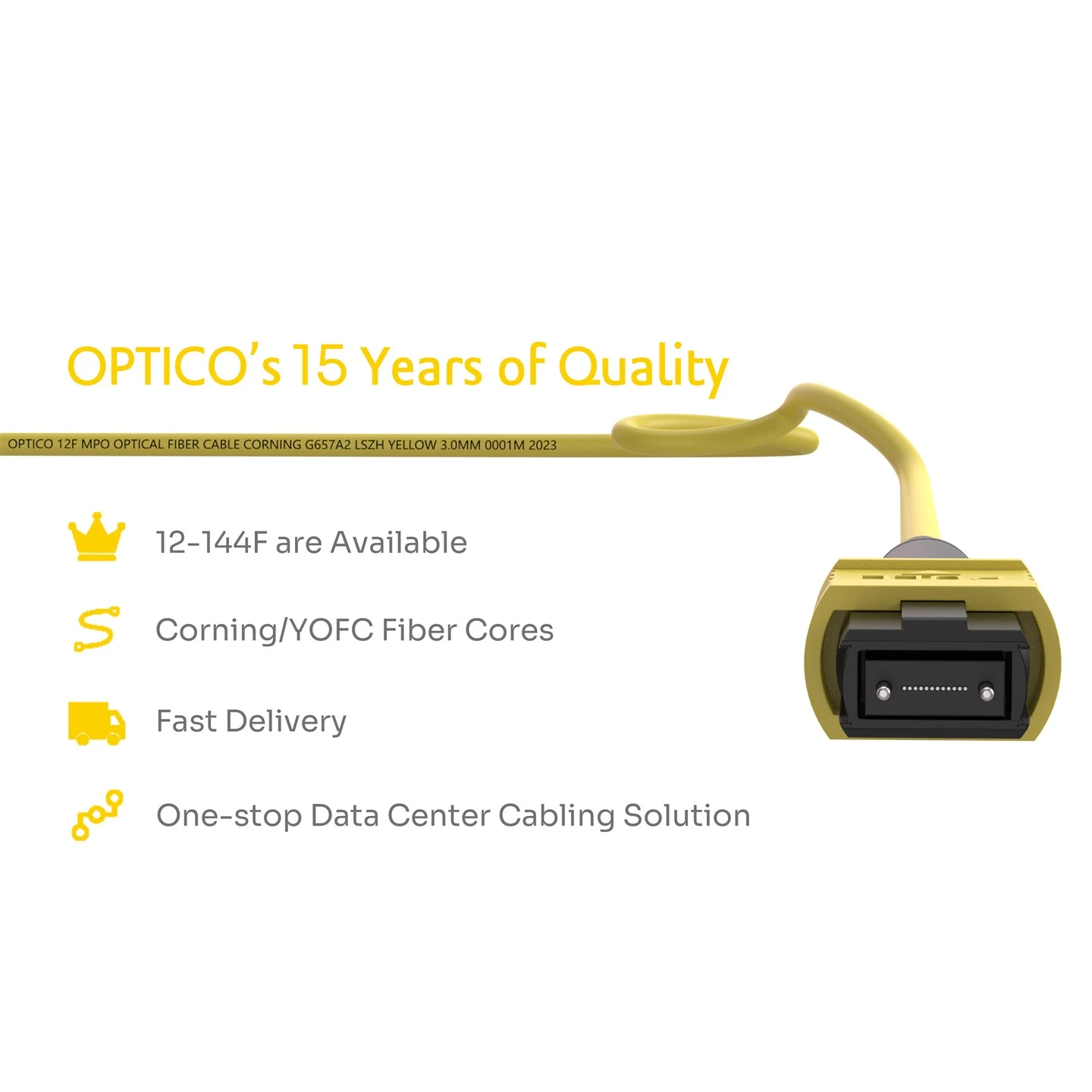 12F MPO To LC Fiber Cable OS2